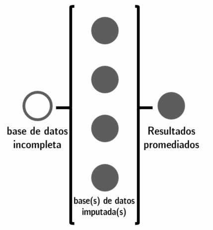 El proceso de las imputaciones para un análisis visual se realiza luego de tomar el promedio de las imputaciones individuales de mice.