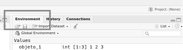 Panel de Environment, arriba a la derecha.