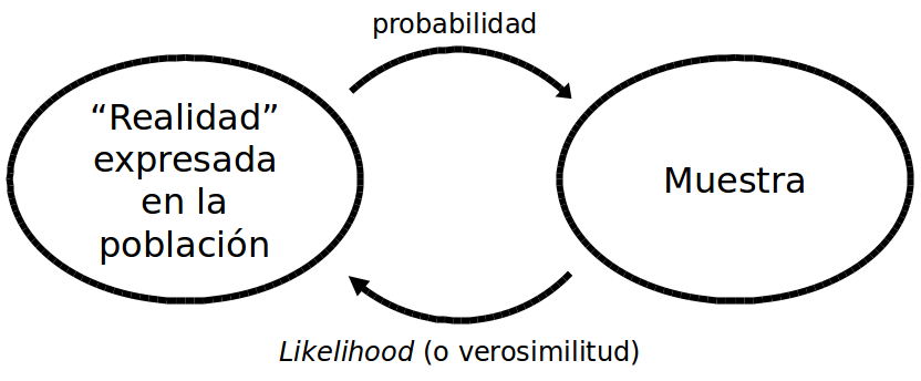  El camino de doble sentido de la probabilidad y la verosimilitud